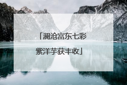 澜沧富东七彩紫洋芋获丰收